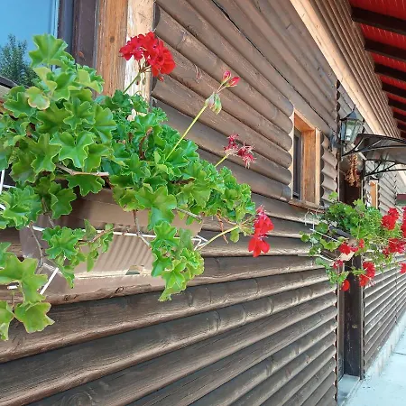 адиарт Арда